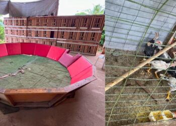 PC apreende 28 galos de rinha e desmonta arena de brigas na Grande Vitória - Fotos: PCES