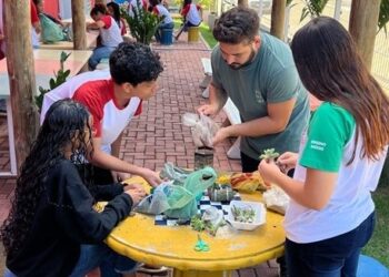 Escola de São Domingos inova no ensino de biologia com terrários ecológicos - Foto: Sedu
