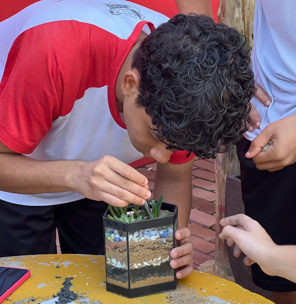 Escola de São Domingos inova no ensino de biologia com terrários ecológicos - Foto: Sedu