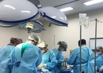 Dia das Mães: legado de amor e doação de órgãos no Hospital Estadual da Serra - Foto: Sesa