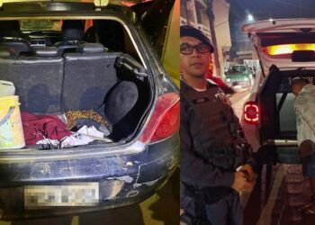 Tentativa de furto de café em Marilândia - Foto: PMES