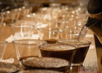 Cooabriel abre inscrições para concurso dos melhores cafés Conilon de 2025. Foto: divulgação