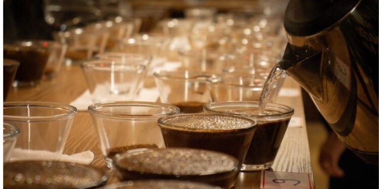 Cooabriel abre inscrições para concurso dos melhores cafés Conilon de 2025. Foto: divulgação