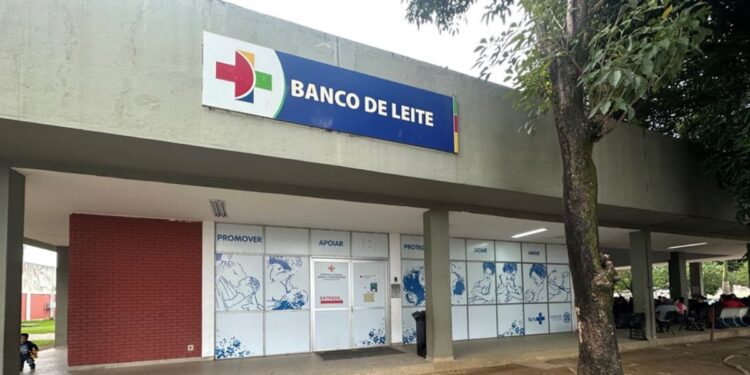 Banco de Leite do Himaba enfrenta baixa nas doações às vésperas do Dia Nacional da Doação. Foto: Sesa