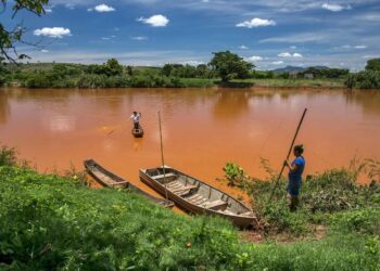 Prazo para solicitação de indenização pelo sistema agro e pesca se encerra em breve - Foto: Reprodução