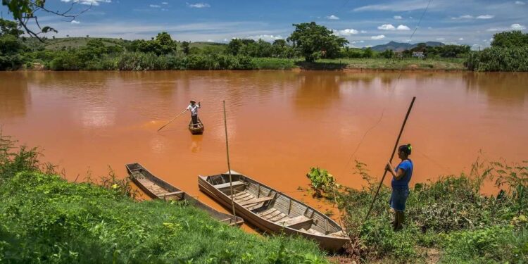 Prazo para solicitação de indenização pelo sistema agro e pesca se encerra em breve - Foto: Reprodução