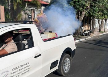 Fumacê em Colatina: cronograma de maio para combater o mosquito da Dengue - Foto: Divulgação