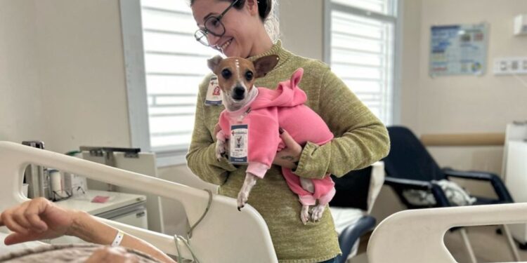 Pet terapia melhora bem-estar de pacientes no Hospital Dr. Jayme, na Serra. Foto: Sesa