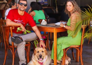 Pet friendly: como estabelecimentos se adaptam para receber você e seu melhor amigo - Foto: Divulgação