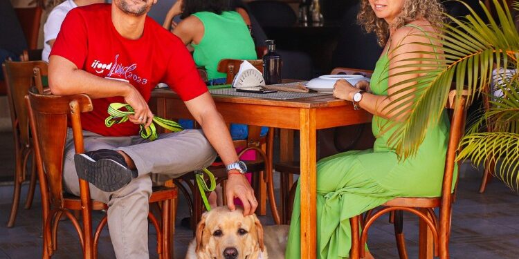 Pet friendly: como estabelecimentos se adaptam para receber você e seu melhor amigo - Foto: Divulgação