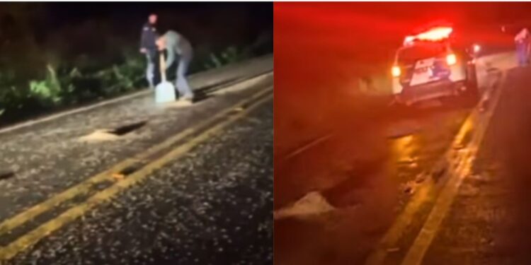 Carga de café se espalha por 4 km na ES-315 após acidente - Foto: Rede Social