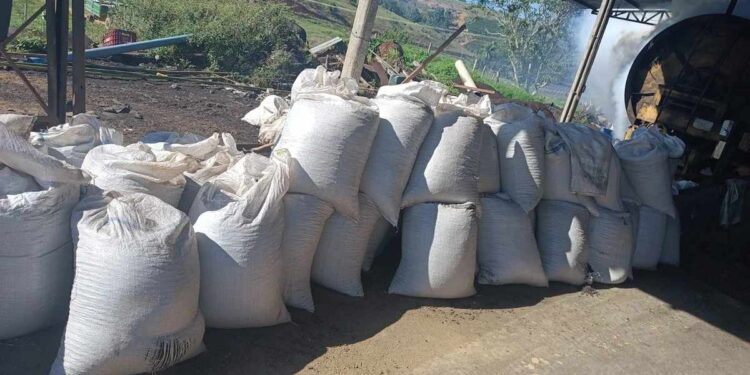 Rastro de grãos leva polícia a esconderijo de carga furtada em Nova Venécia - Foto: PCES