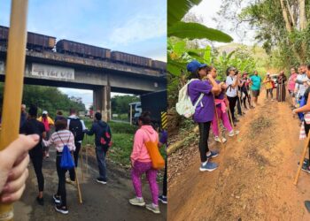 5ª Caminhada Ecológica promove reflexão ambiental em Colatina - Foto: Reprodução