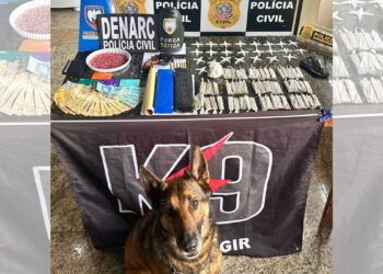 Polícia apreende 1kg de maconha, 95 pinos de cocaína e arma em Nova Venécia - Foto: PCES