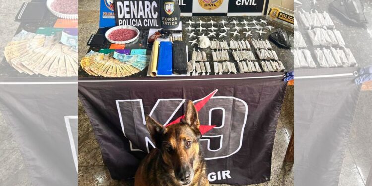 Polícia apreende 1kg de maconha, 95 pinos de cocaína e arma em Nova Venécia - Foto: PCES