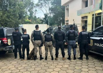 Operação “Bandido Não Se Cria” combate grupo criminoso em cinco cidades do ES e da BA - Foto: MPES