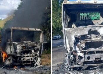 Fogo em caminhão de cerveja assusta motoristas e queima vegetação em Pancas - Foto: Reprodução