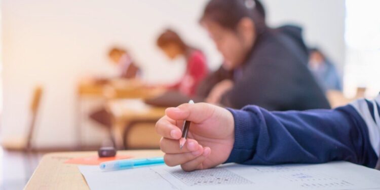 Prefeitura de Colatina abre mais de 600 vagas em Processo Seletivo com salários de até R$ 6,2 mil - Foto: Reprodução