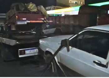 Furto em fazenda: PM prende 3 suspeitos e recupera selas e aves silvestres em Colatina - Foto: Reprodução