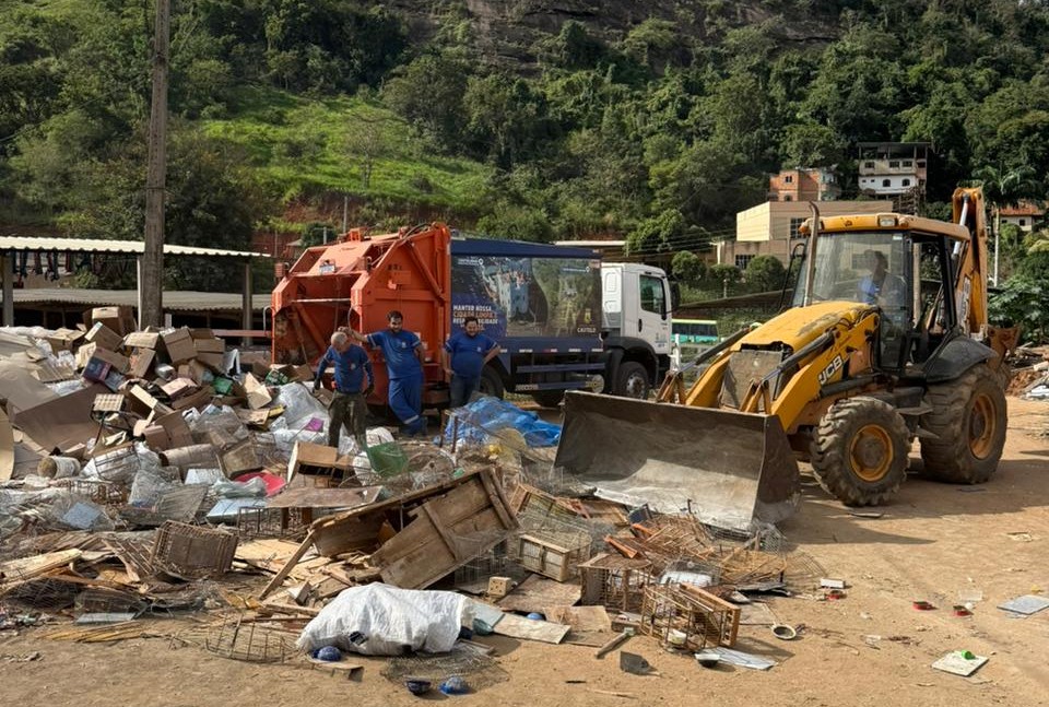 Criadouro ilegal com 69 pássaros é descoberto no Sul de ES - Foto: PCES
