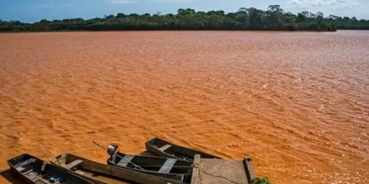 Faltam 10 dias para o encerramento do PID - Foto: Leonardo Merçon/Instituto Últimos Refúgios