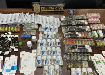 Influencer fitness é presa por vender anabolizantes ilegalmente em Marataízes. Foto: PCES