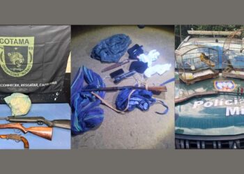 Mais de 5 armas de fogo são apreendidas em um único dia durante operações no ES - Foto: PMES