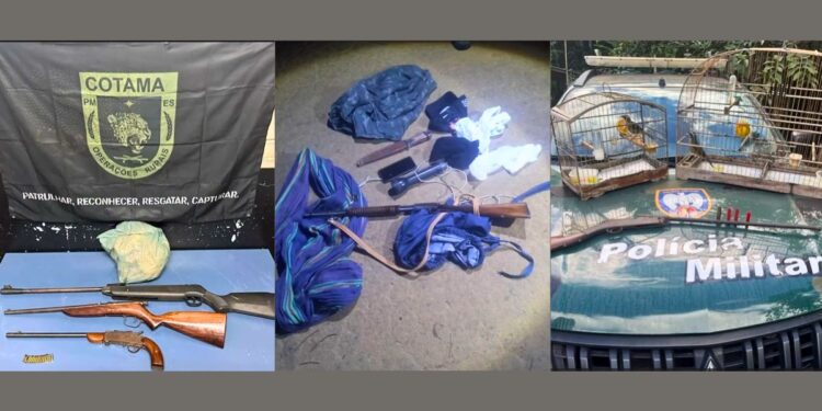 Mais de 5 armas de fogo são apreendidas em um único dia durante operações no ES - Foto: PMES