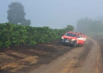 Menina de 3 anos é encontrada com vida após passar noite em mata no ES - Crédito: Bombeiros ES