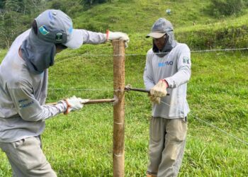 Iniciativa Rio Vivo tem o objetivo de preservar a quantidade e qualidade da água de mananciais da Bacia do Rio Doce. Foto: divulgação