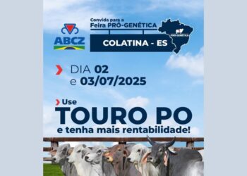 Feira Pró-Genética leva touros de alto padrão a Colatina e impulsiona pecuária regional. Foto: PMC