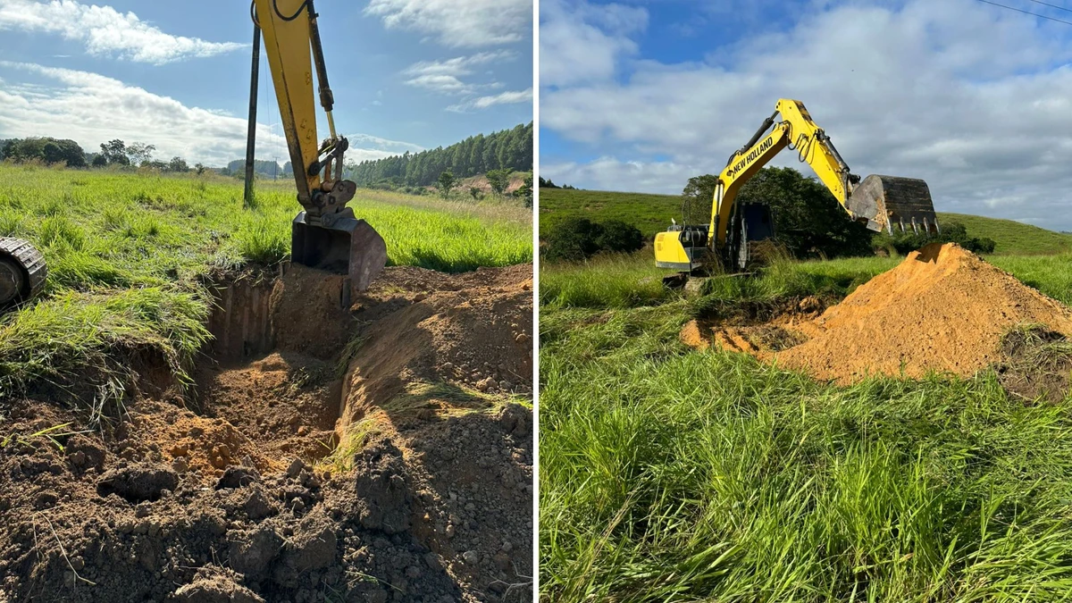 Fio de alta tensão rompido mata 15 animais e causa prejuízo de R$ 80 mil em fazenda no ES - Foto: Adão Cellia