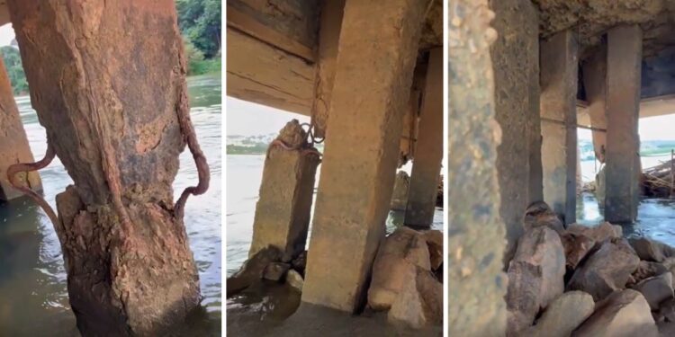 Vigas de sustentação de ponte em Colatina chamam atenção de pescador - Foto: Montagem Colatina em Ação