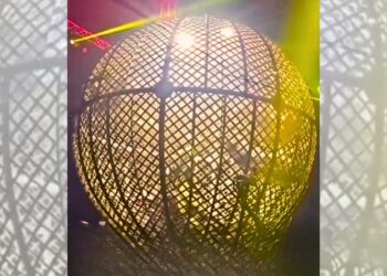 Colisão entre motos no Globo da Morte assusta público em circo de São Mateus - Foto: Reprodução