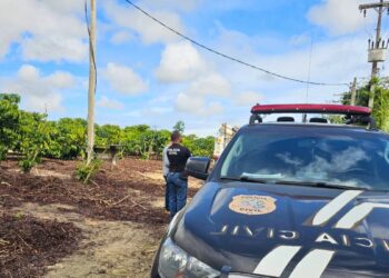 Furto de Energia: EDP e PC Flagram Irregularidades no Norte do ES - Foto: EDP