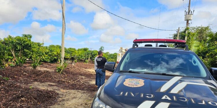 Furto de Energia: EDP e PC Flagram Irregularidades no Norte do ES - Foto: EDP