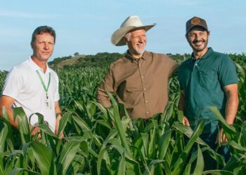 Sicredi disponibiliza R$ 68 bilhões no Plano Safra 2025/2026 - Foto: Divulgação