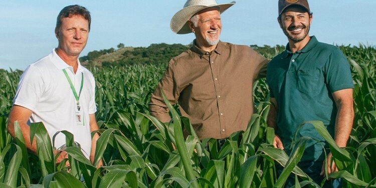 Sicredi disponibiliza R$ 68 bilhões no Plano Safra 2025/2026 - Foto: Divulgação