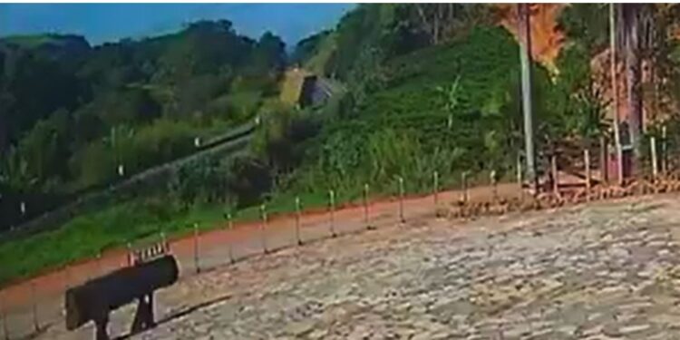 Vídeo | Carreta tomba na BR-101 em Ibiraçu após motorista perder o controle em curva. Foto: divulgação