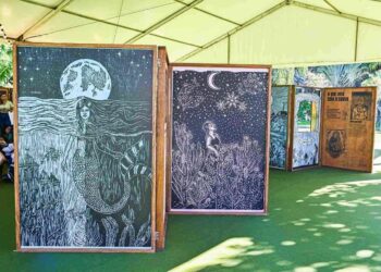 Últimos dias para conferir a exposição “Vidas em Cordel”, apresentada pelo Museu Vale, em Colatina - Foto: Divulgação