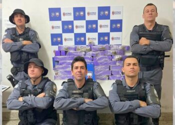 Polícia Militar apreende quase 27 kg de maconha em Baixo Guandu após denúncia anônima. Foto: divulgação.