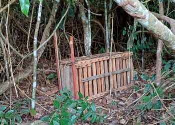 Armadilha de caça é apreendida na APA Pedra do Elefante durante operação do Iema e Polícia Ambiental. Foto: Iema