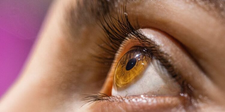 Uso de cosméticos na região dos olhos exige cuidado no inverno, alerta oftalmologista. Foto: divulgação