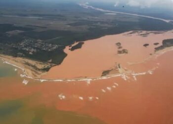 PID se encerra com mais de 290 mil requerimentos na plataforma - Foto: Fred Loureiro/ Secom-ES