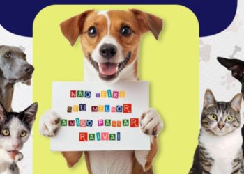 Campanha de Vacinação Antirrábica 2025 em Colatina começa em agosto e vai até outubro. Foto: divulgação