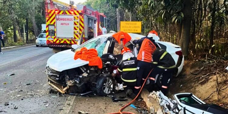 Motorista fica preso às ferragens após colisão na BR-259 em Colatina - Foto: Bombeiros/ES