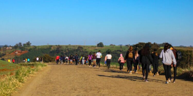 Diocese de Colatina promove 5ª Peregrinação Ecológica entre Ibiraçu e Colatina - Foto: Reprodução