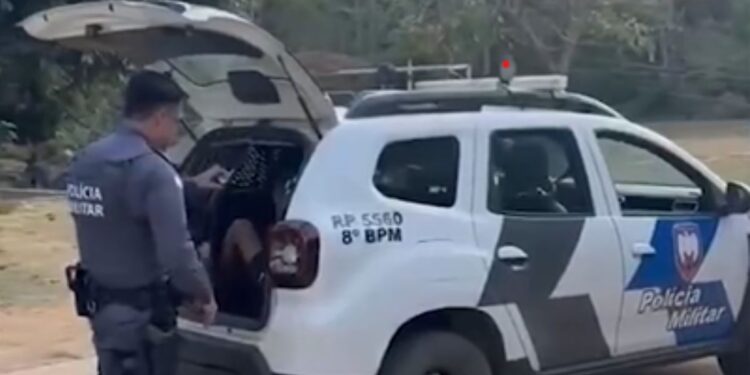 Assaltante de loja de celulares no Centro de Colatina é preso pela PM - Foto: Reprodução