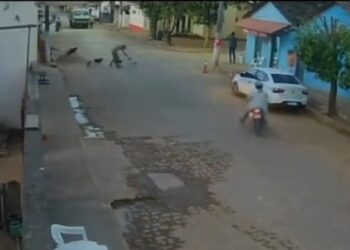 Homem é flagrado matando cachorro em via pública em Baixo Guandu - Foto: Rede Social