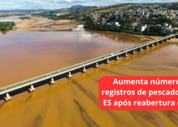 Caso Samarco: aumenta número de registros de pescadores no ES após reabertura do PID - Foto: Reprodução
